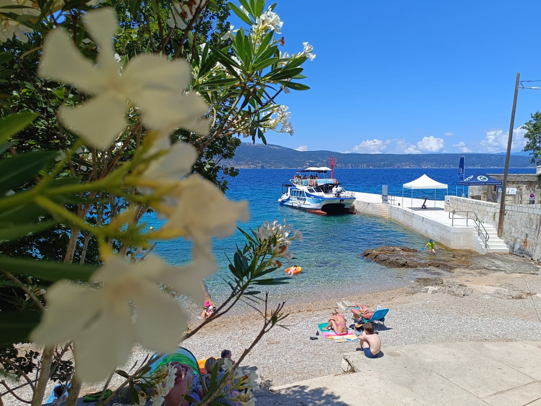 glavotok luka (5) glavotok luka (5)