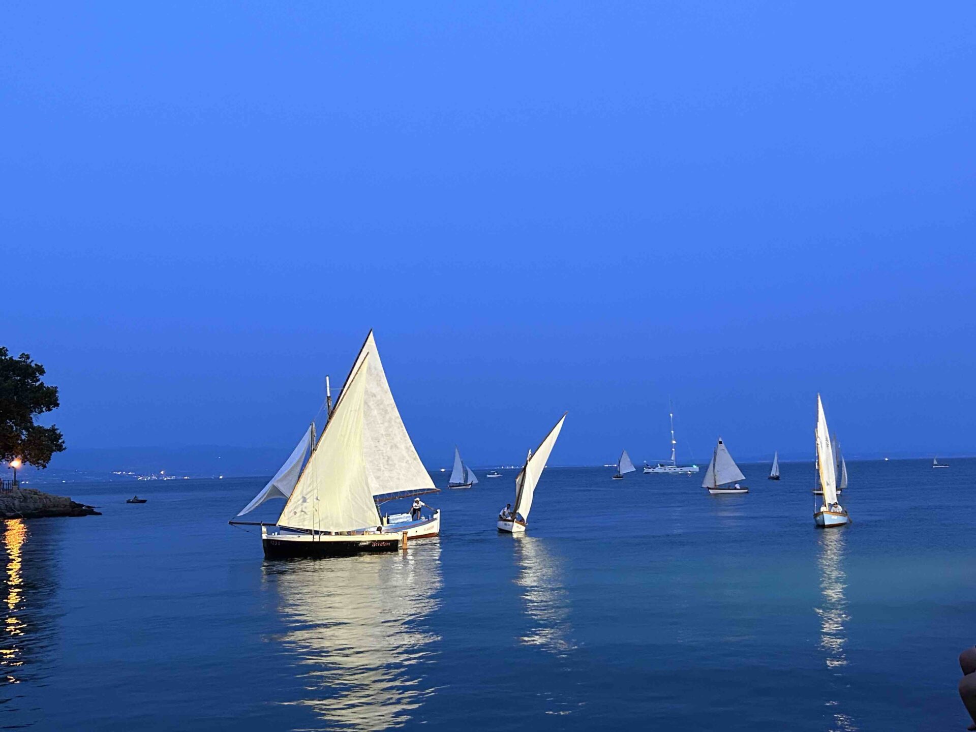 ika regata ljeto 20238