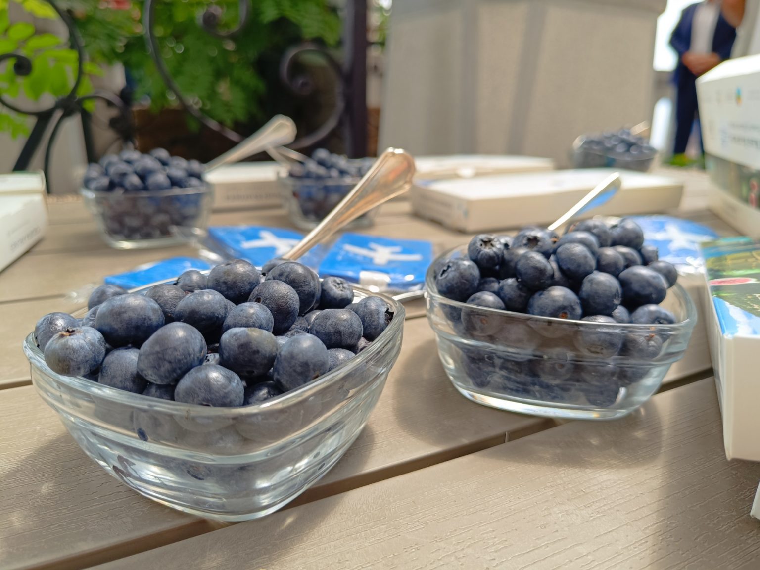 okusi kvarnera croatia airlines (1)