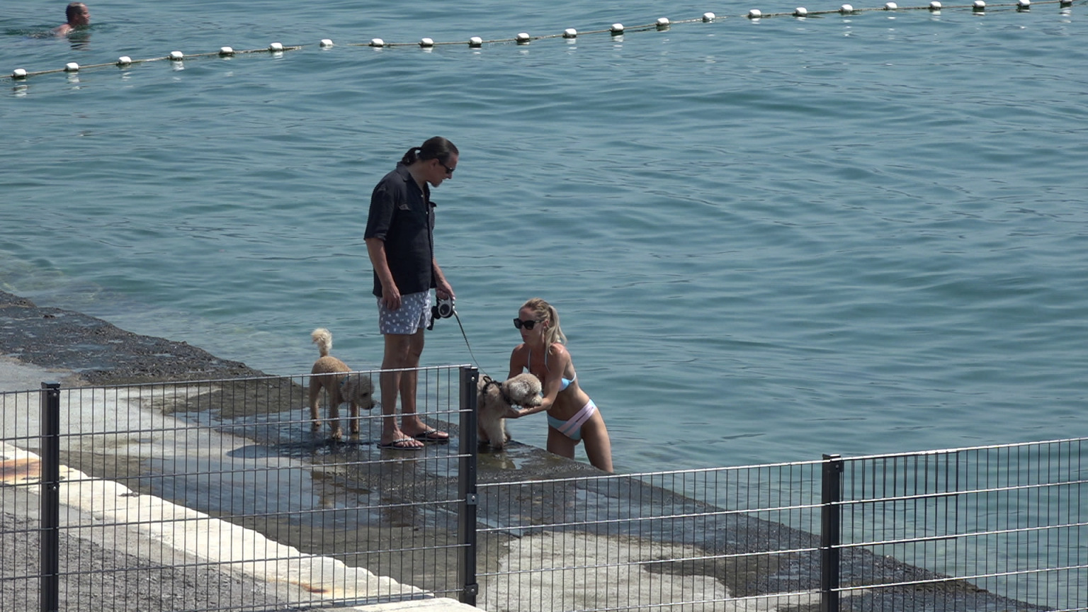 opatija plaža za pse slatina Kanal ri 2023 1 opatija plaža za pse slatina Kanal ri 2023 1