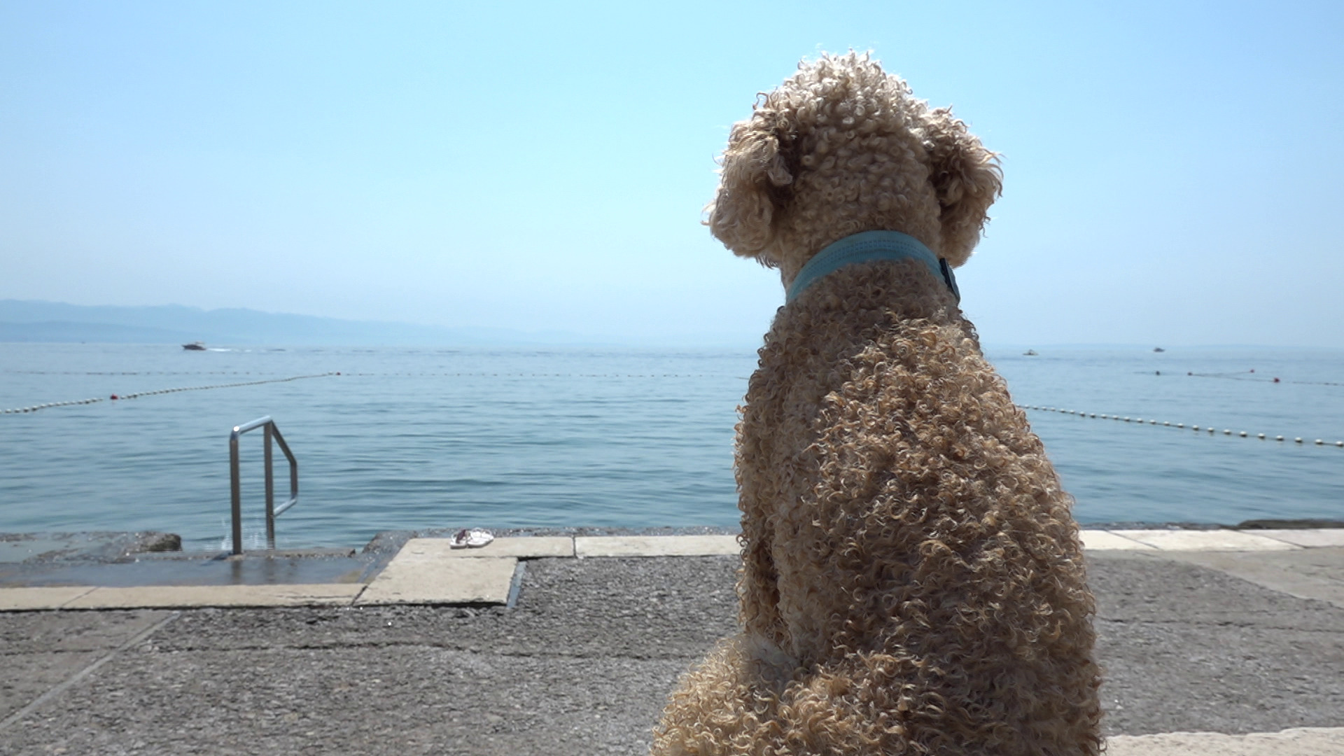 opatija plaža za pse slatina Kanal ri 2023 12 opatija plaža za pse slatina Kanal ri 2023 12