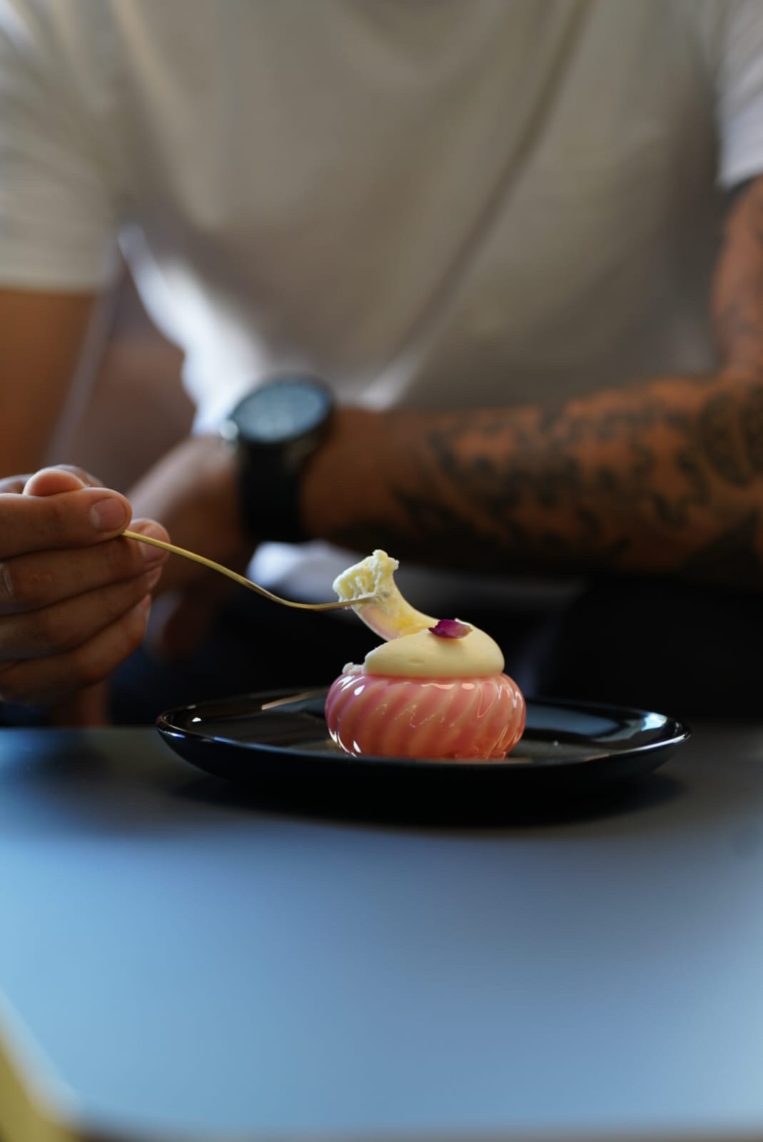 renard otvorenje 16 renard otvorenje 16