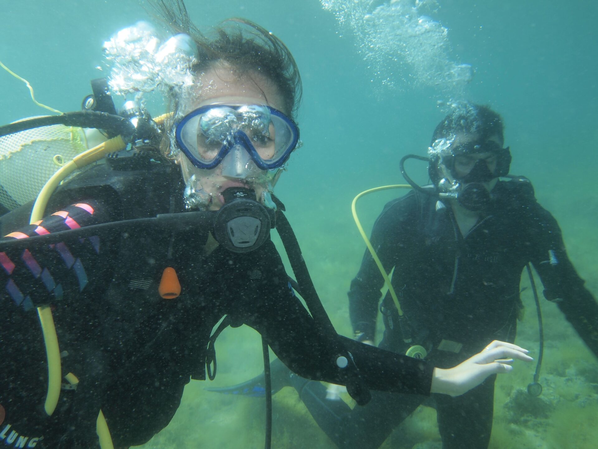 tecaj ronjenja (8) tecaj ronjenja (8)