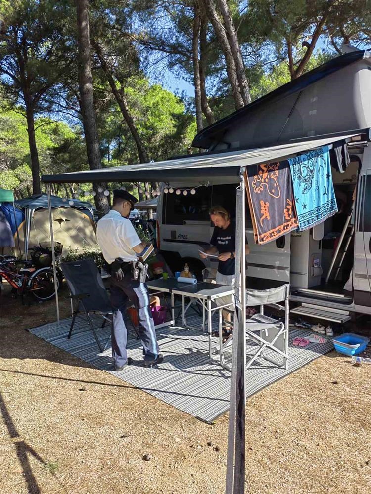 Čikat 17.08. (3) Čikat 17.08. (3)