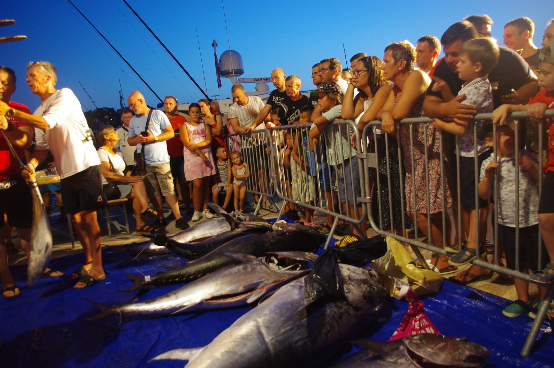 Ogroman interes posjetitelja Ogroman interes posjetitelja