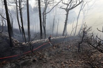 Hreljin: Vatrogasci i mjetani gase poar ku?e i ume