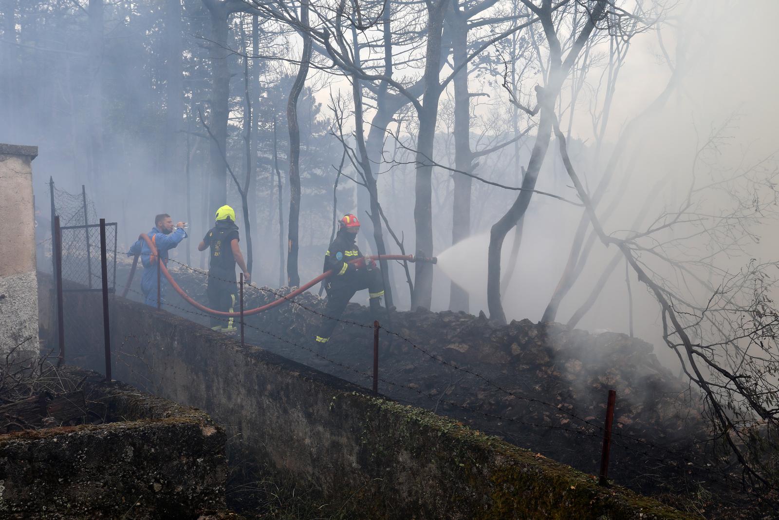 Hreljin: Vatrogasci i mještani gase požar kuće i šume