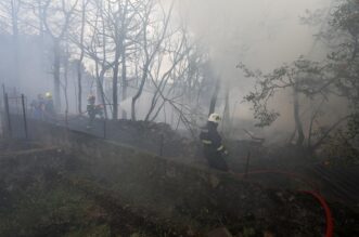 Hreljin: Vatrogasci i mještani gase požar kuće i šume