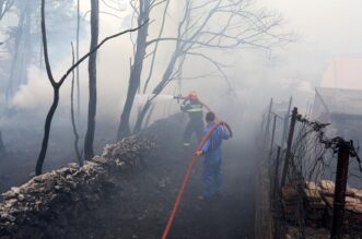 Hreljin: Vatrogasci i mještani gase požar kuće i šume