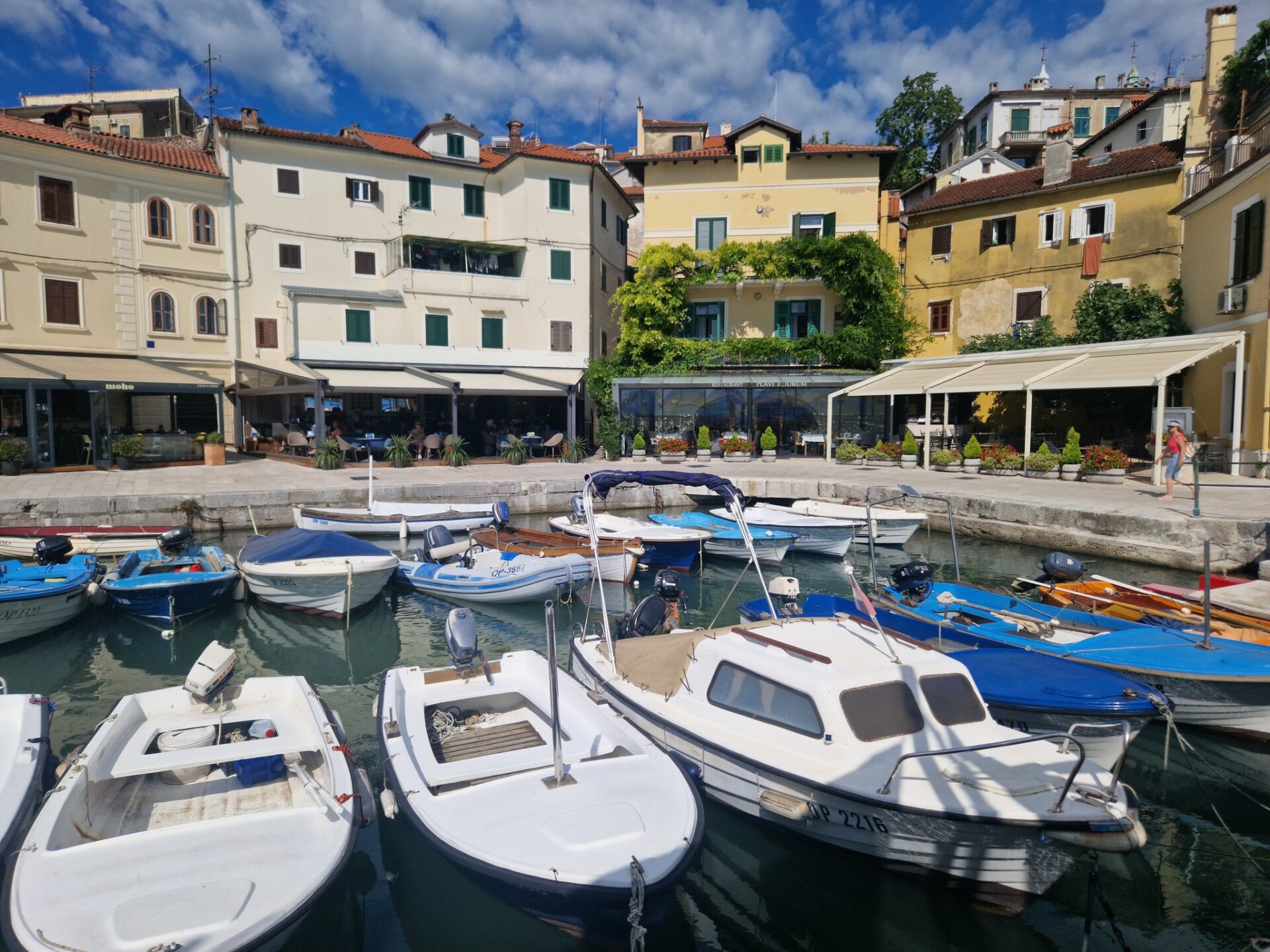 VOLOSCANSKI MANDRACI (3) VOLOSCANSKI MANDRACI (3)