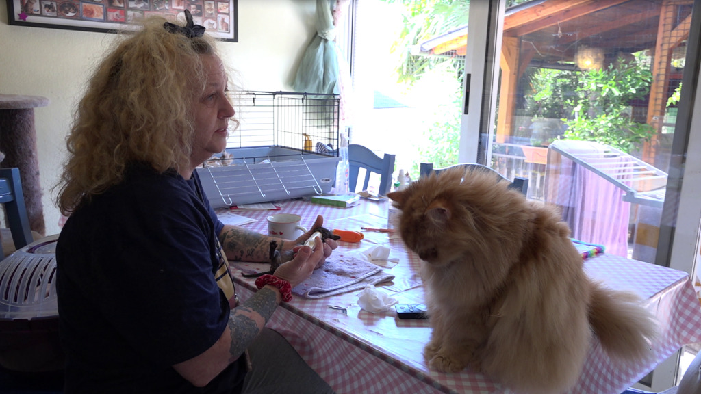 danijela knezevic macke kitten safe house (12) danijela knezevic macke kitten safe house (12)