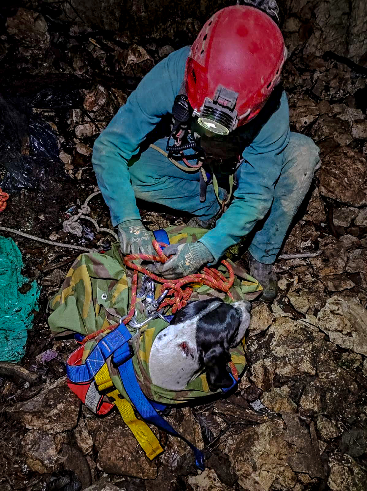 hgss pas (1) hgss pas (1)