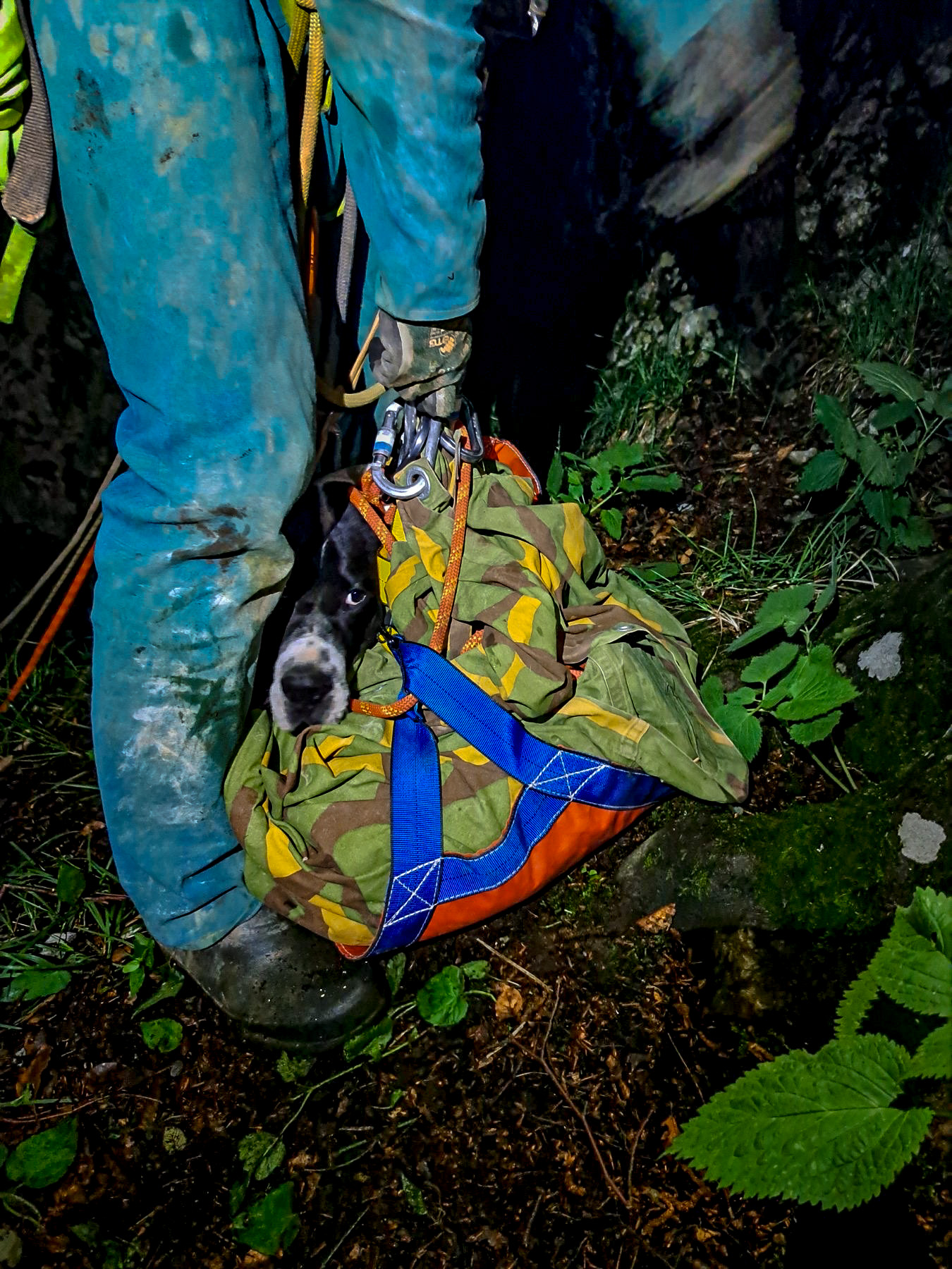 hgss pas (2) hgss pas (2)