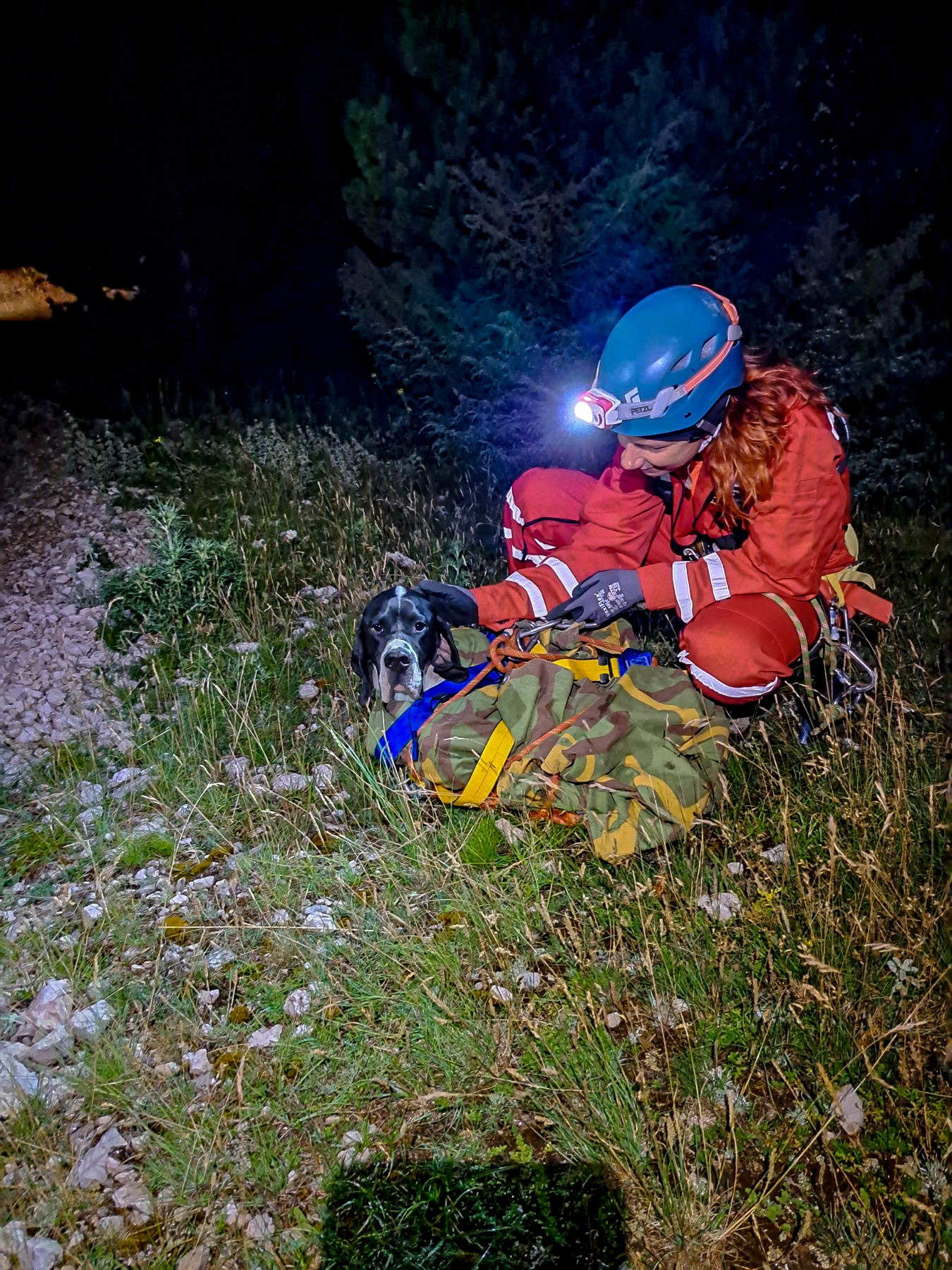 hgss pas (3) hgss pas (3)