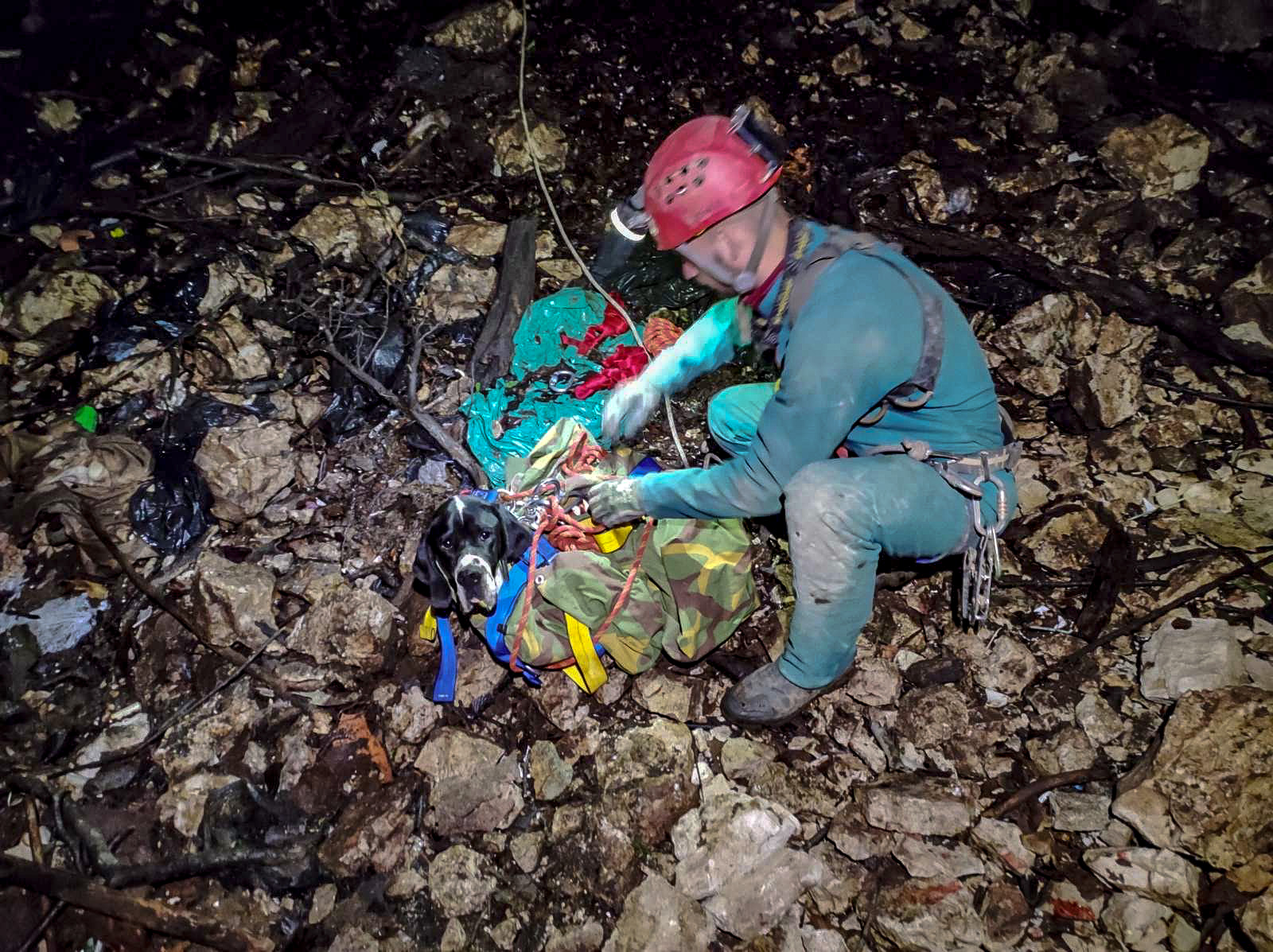 hgss pas (4) hgss pas (4)