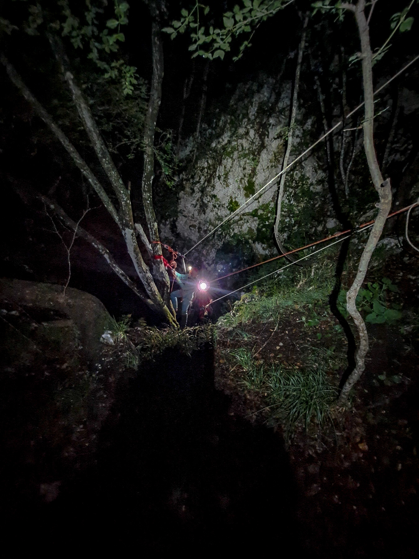 hgss pas (5) hgss pas (5)