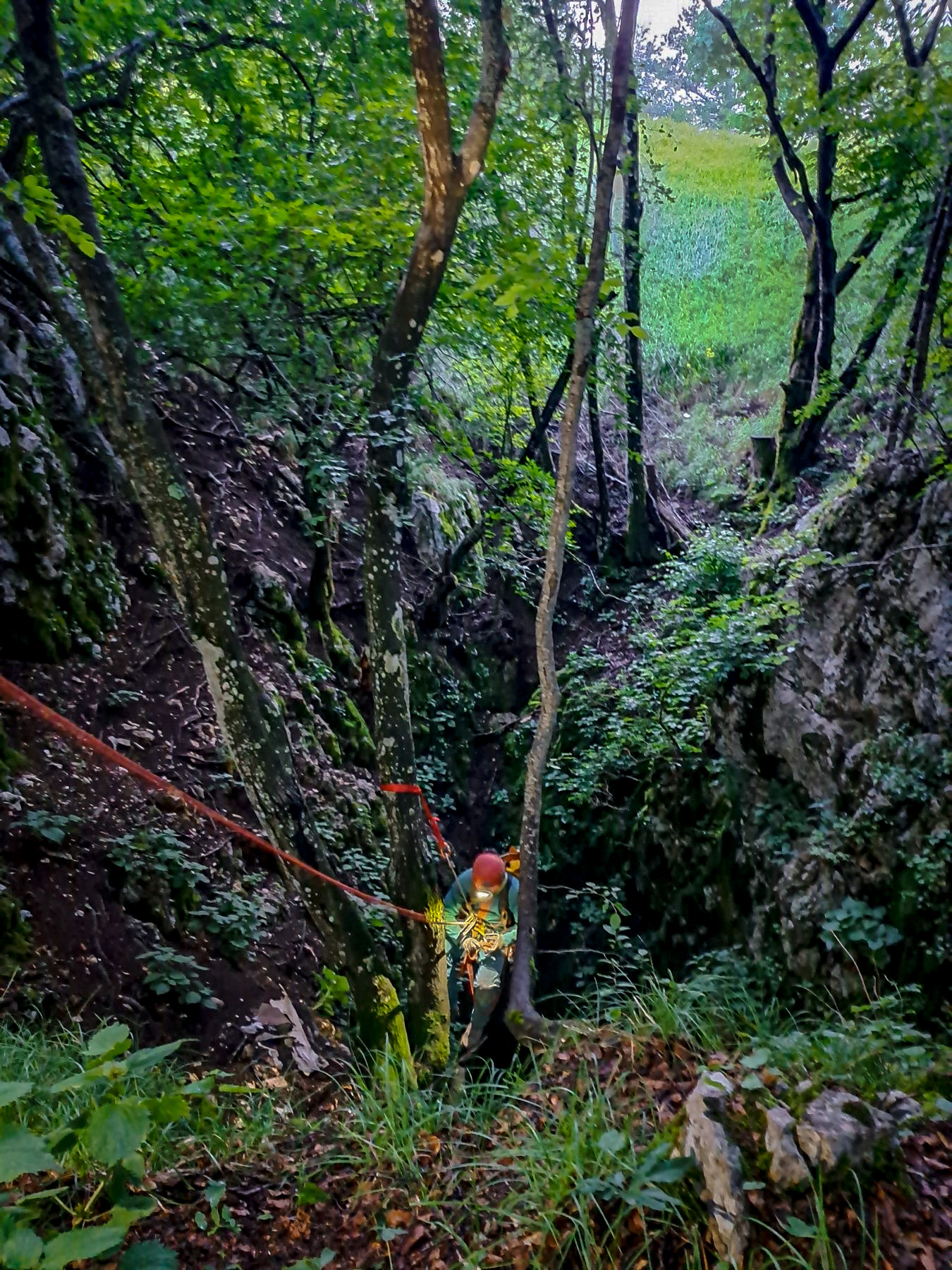 hgss pas (6) hgss pas (6)