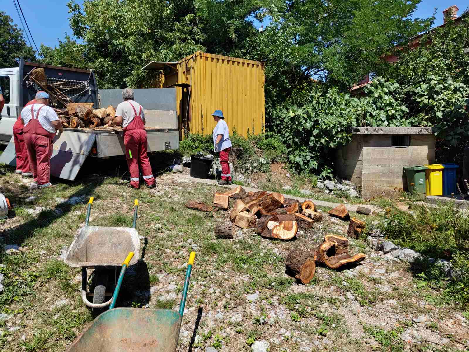 kastav stablo (2) kastav stablo (2)