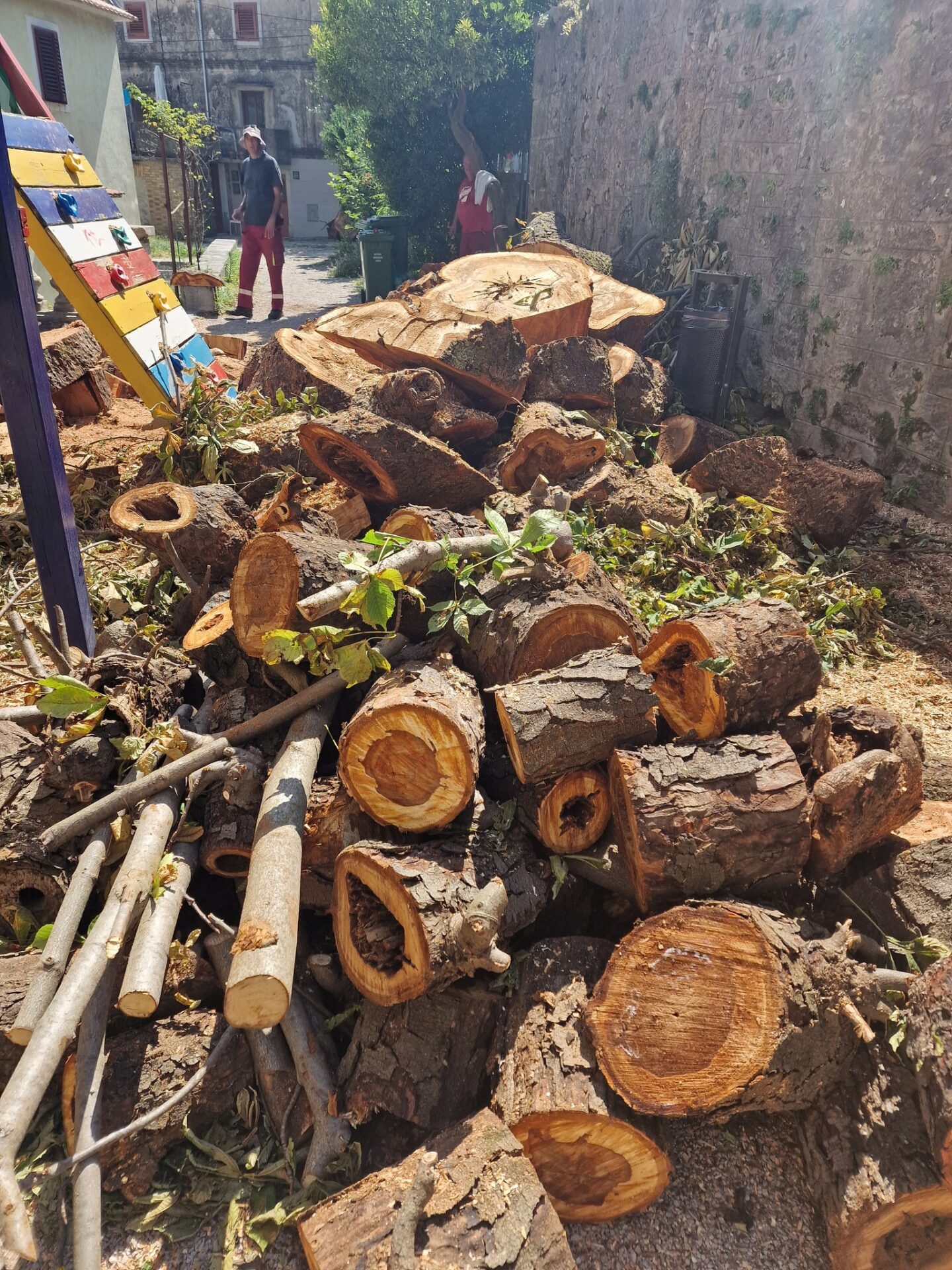 kastav stablo (4) kastav stablo (4)