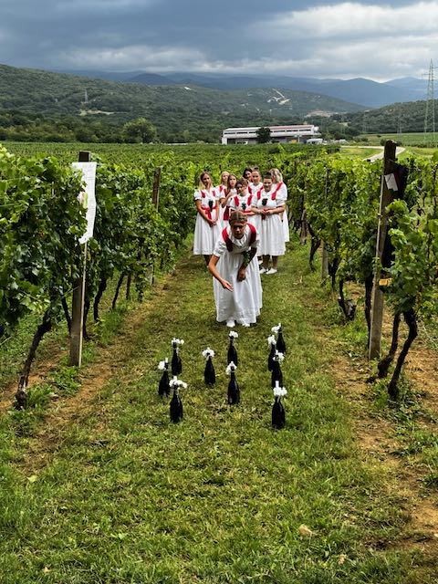 ružica Vinodola 2023 pr 16
