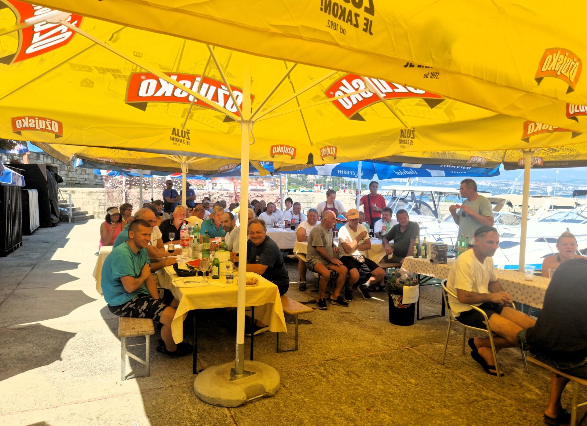 zlatni pismolj icici (11)