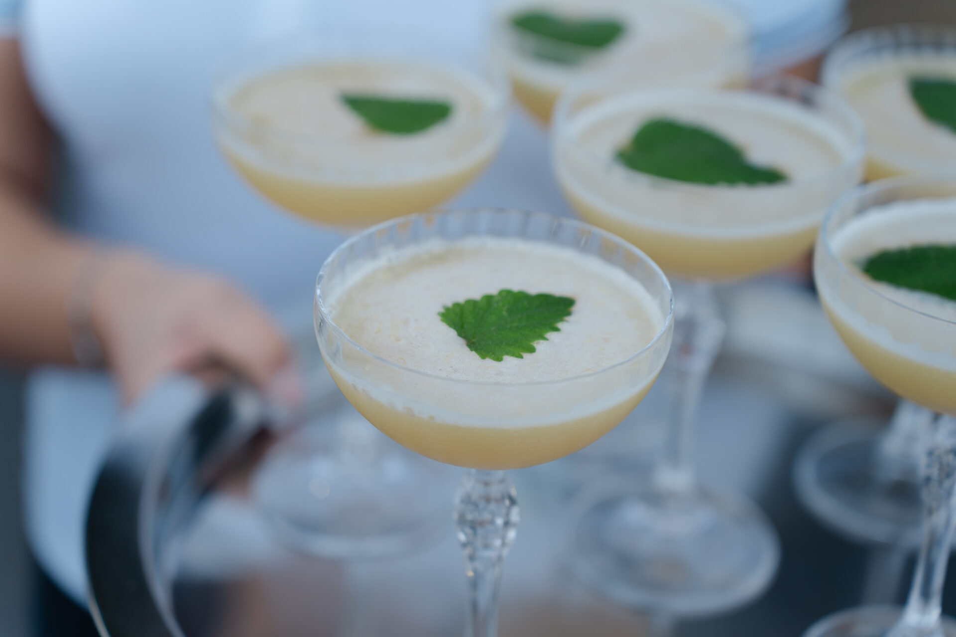 4_Prvi-koktell-od-meduna_Medun-Fest-photto-by-Antonio-Ruzic_04356