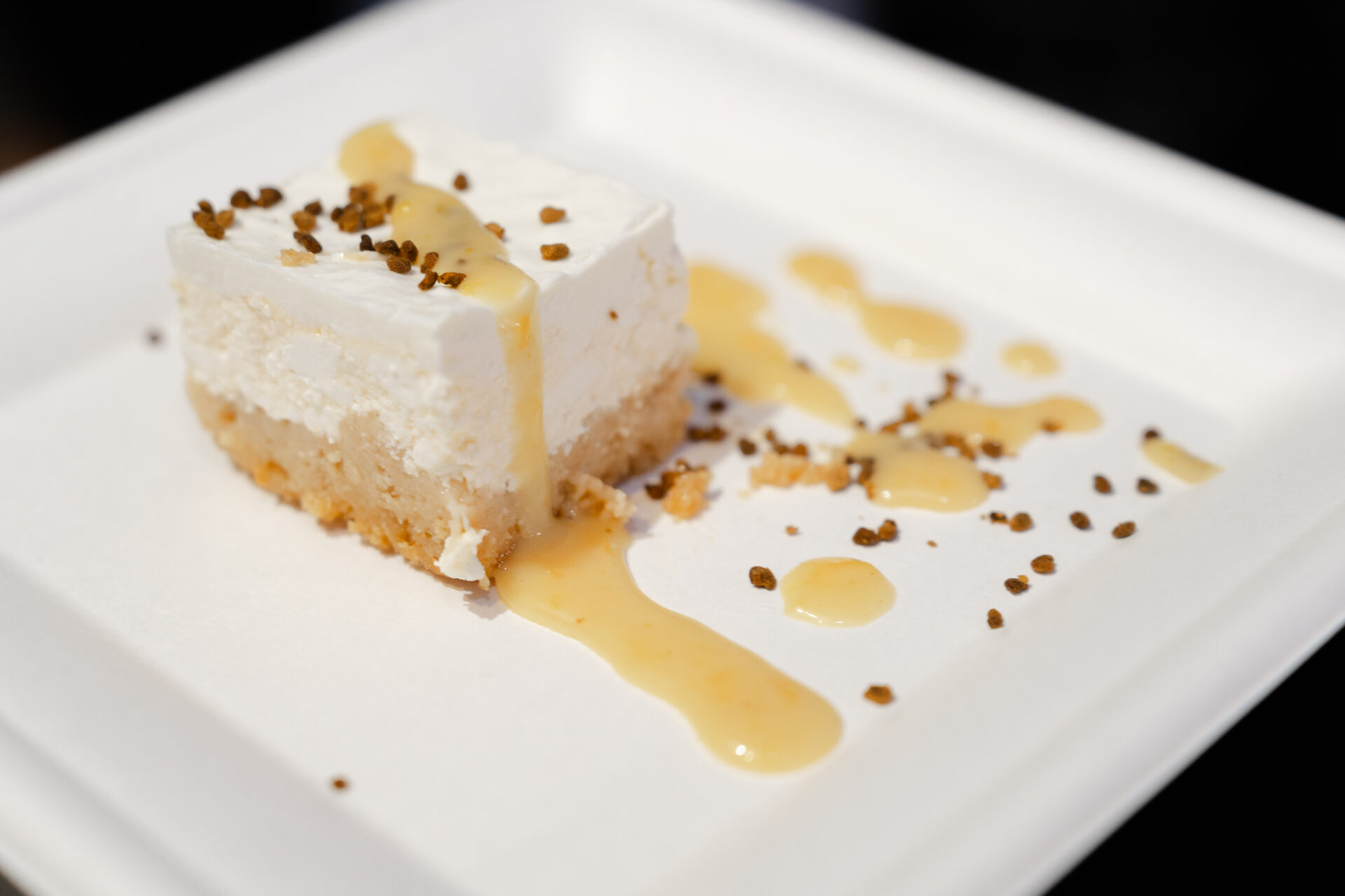 6 Cheesecake s medunom chef Boris Kauzlarić Medun Fest photto by Antonio Ružić_04472