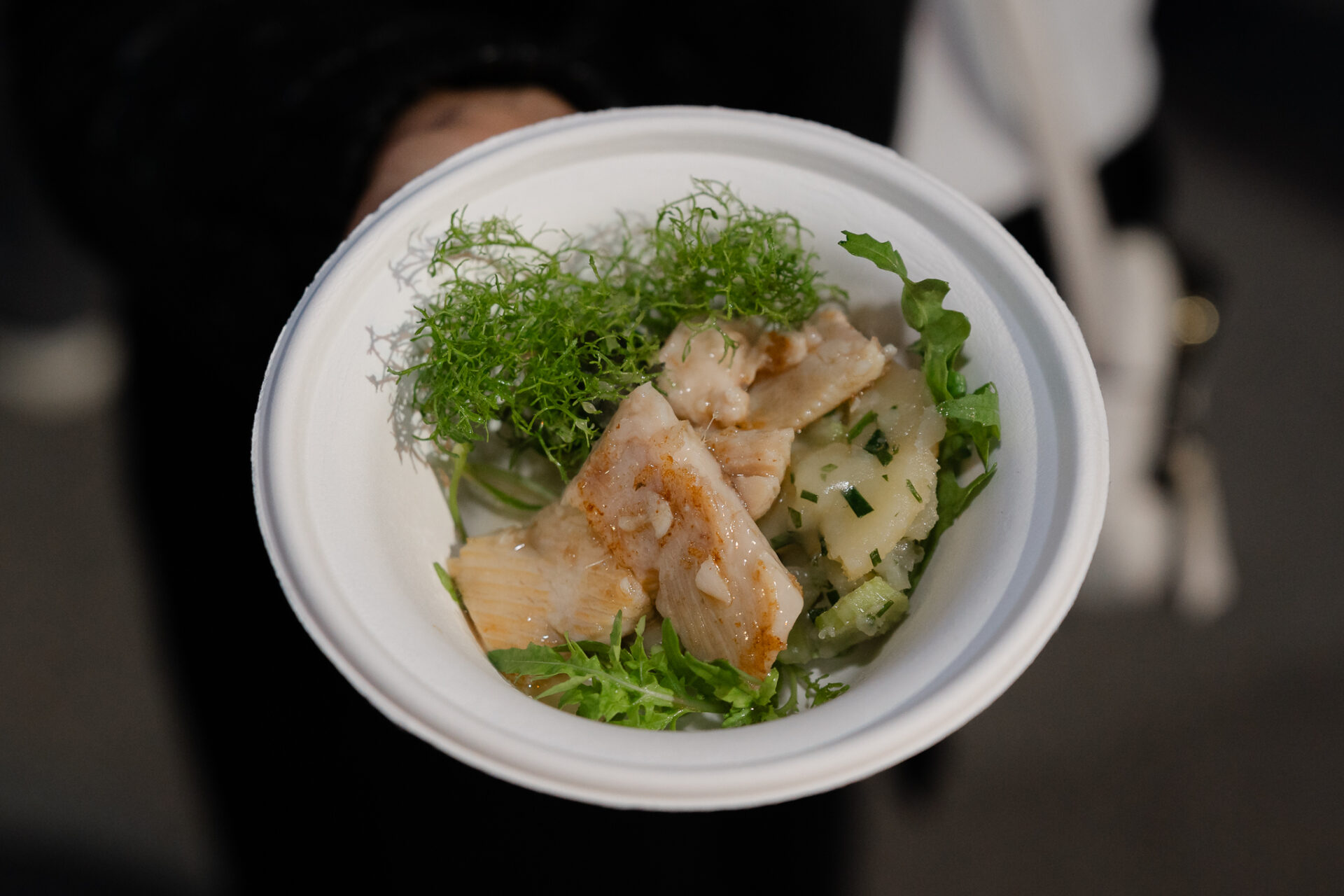 7_Predjelo pastrva sa salatom od krumpira i dodatkkom meduna by chef Zdravko Tomšić Medun Fest photto by Antonio Ružić_04497