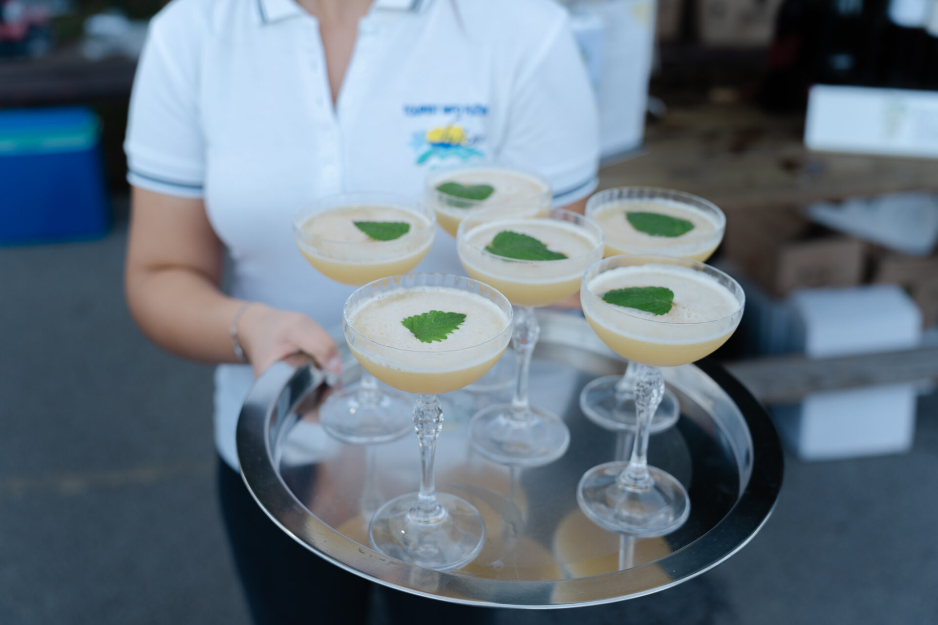 8 Prvi koktel meduna Medun Fest photto by Antonio Ružić_04357