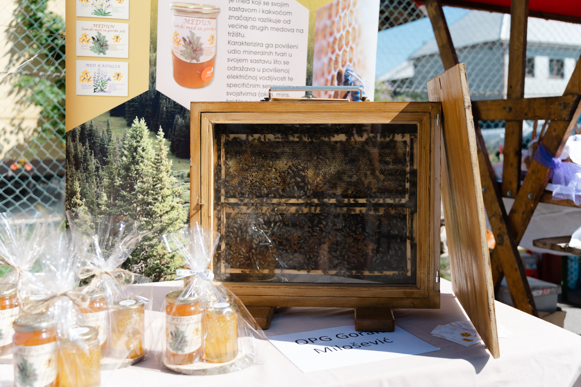 Apisarij Medun Fest photto by Antonio Ružić_04127