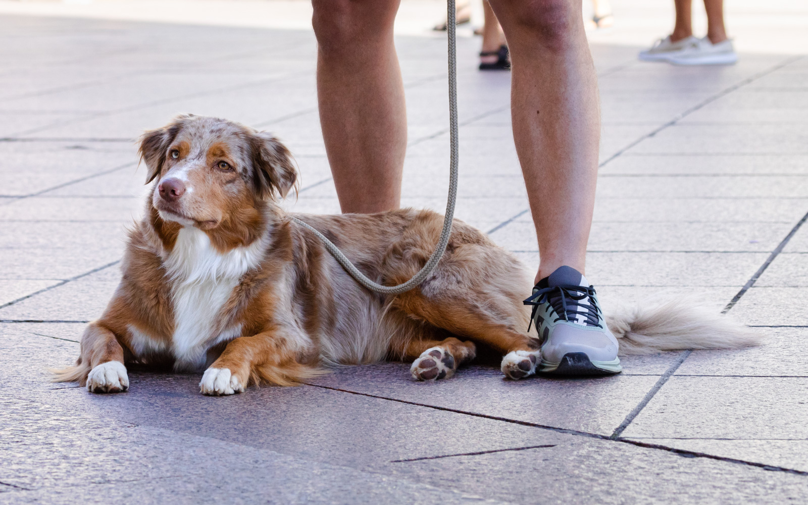 Klikom po Korzu 29.9.-29 Klikom po Korzu 29.9.-29