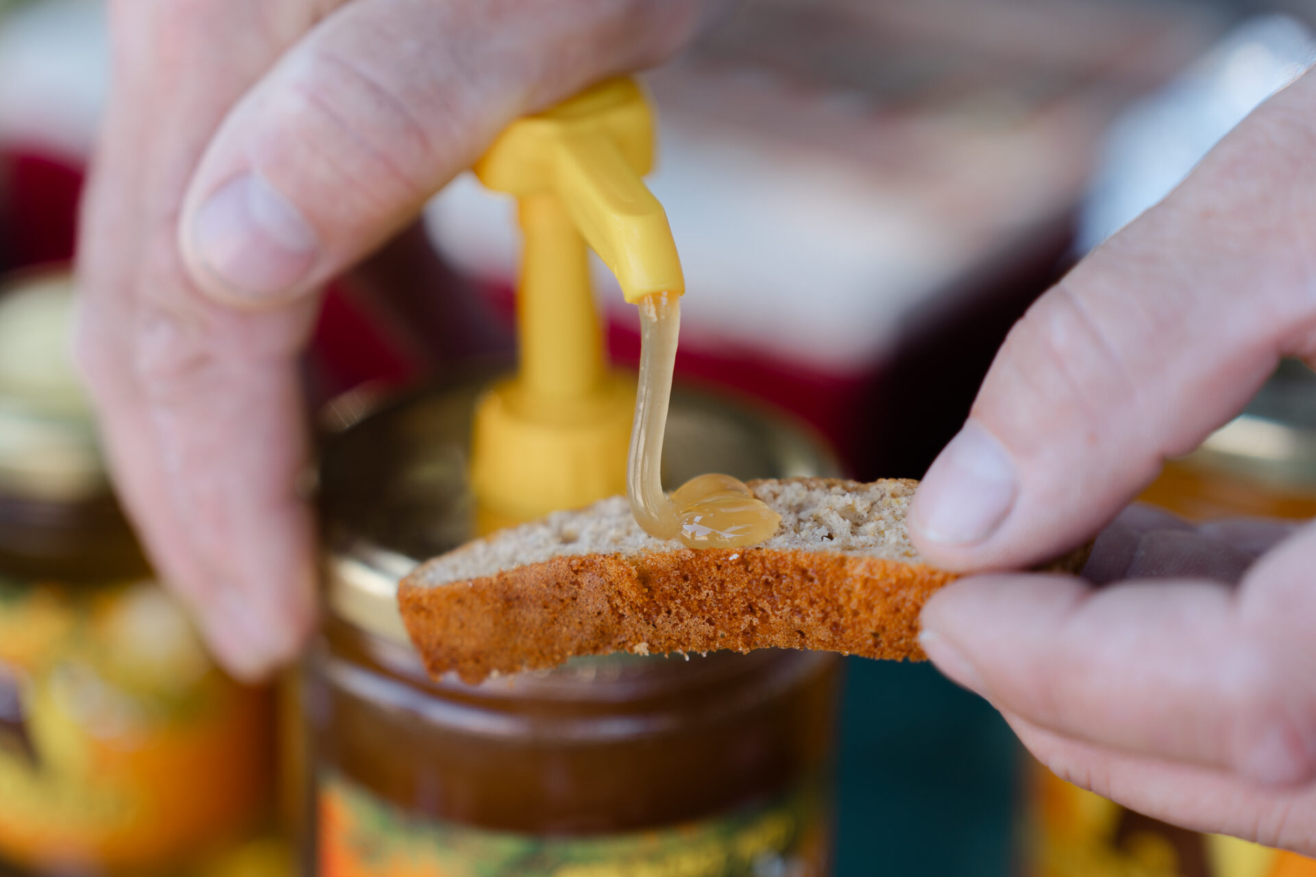 Medun Fest photto by Antonio Ružić_04104