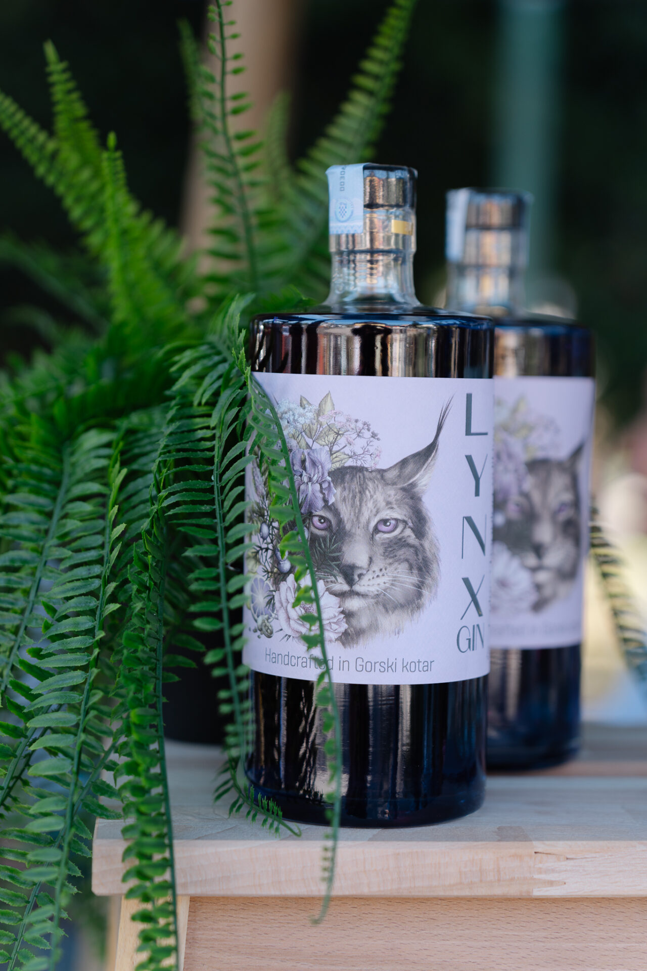 Medun Fest photto by Antonio Ružić_04119