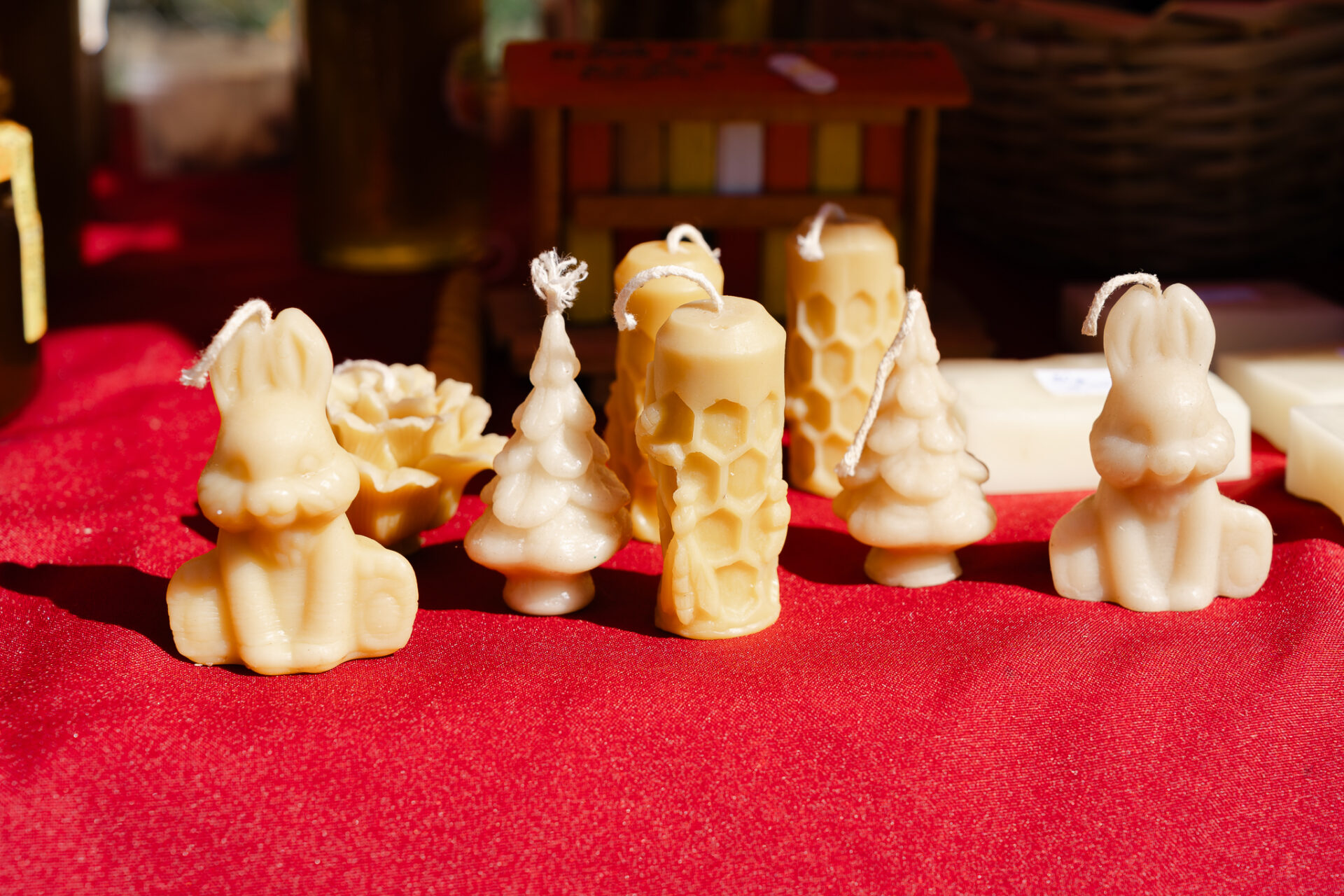 Medun Fest photto by Antonio Ružić_04125