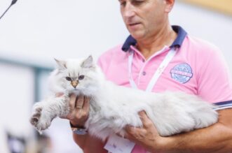 Mediteranska izložba šampionskih mačaka u Opatiji