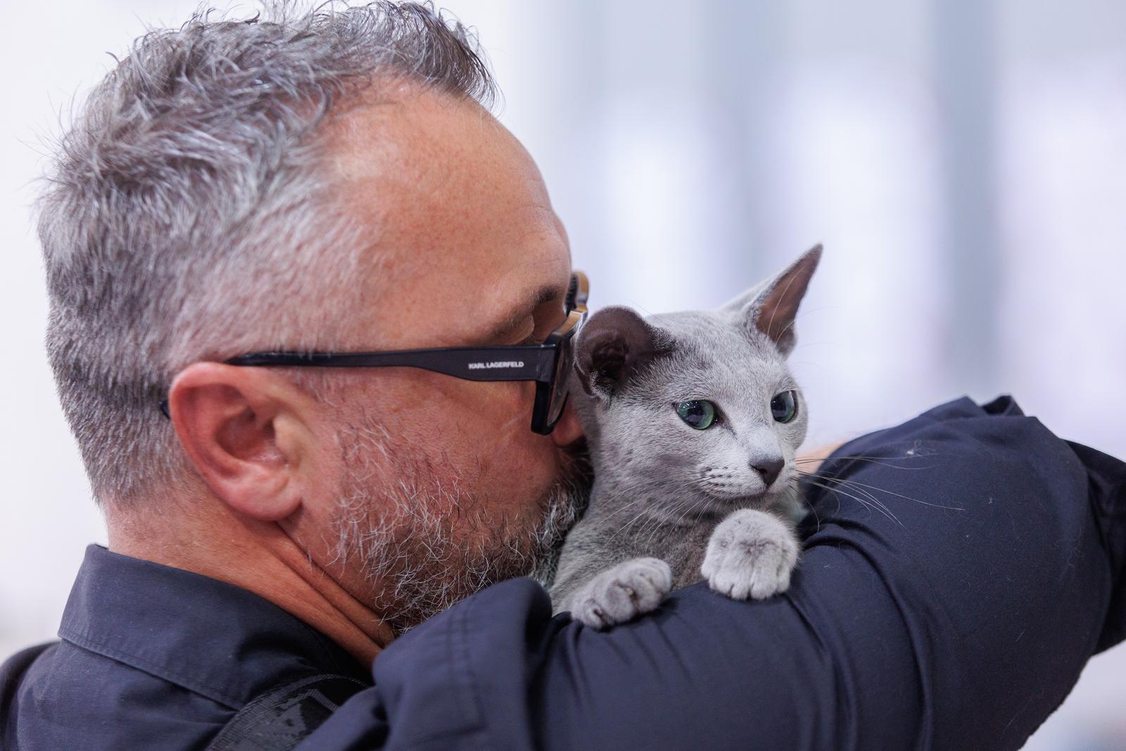 Mediteranska izložba šampionskih mačaka u Opatiji Mediteranska izložba šampionskih mačaka u Opatiji