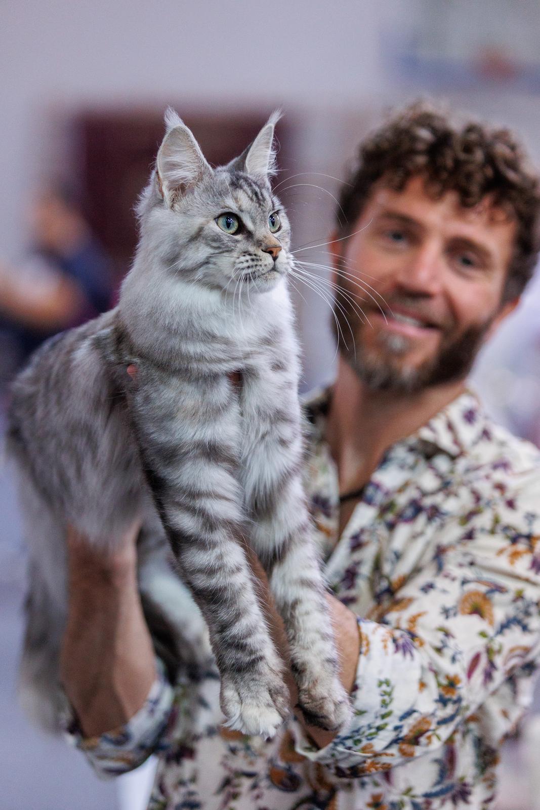 Mediteranska izložba šampionskih mačaka u Opatiji Mediteranska izložba šampionskih mačaka u Opatiji