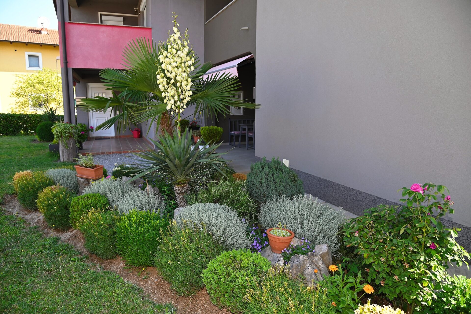 Viškovo okućnice rujan 2023 17