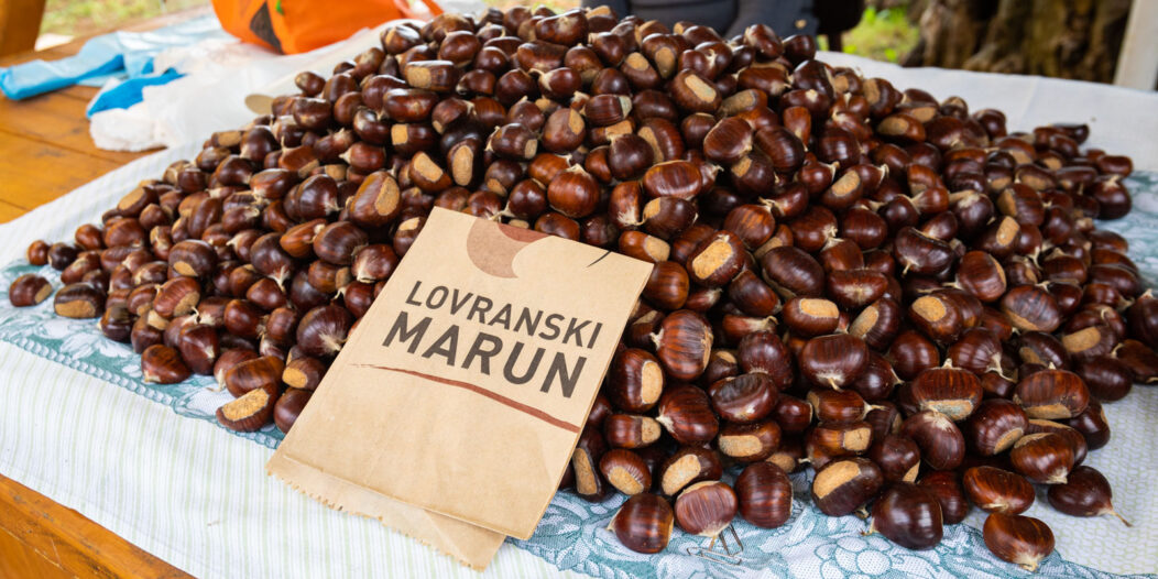 Marunada Dobreć-2 Marunada Dobreć-2