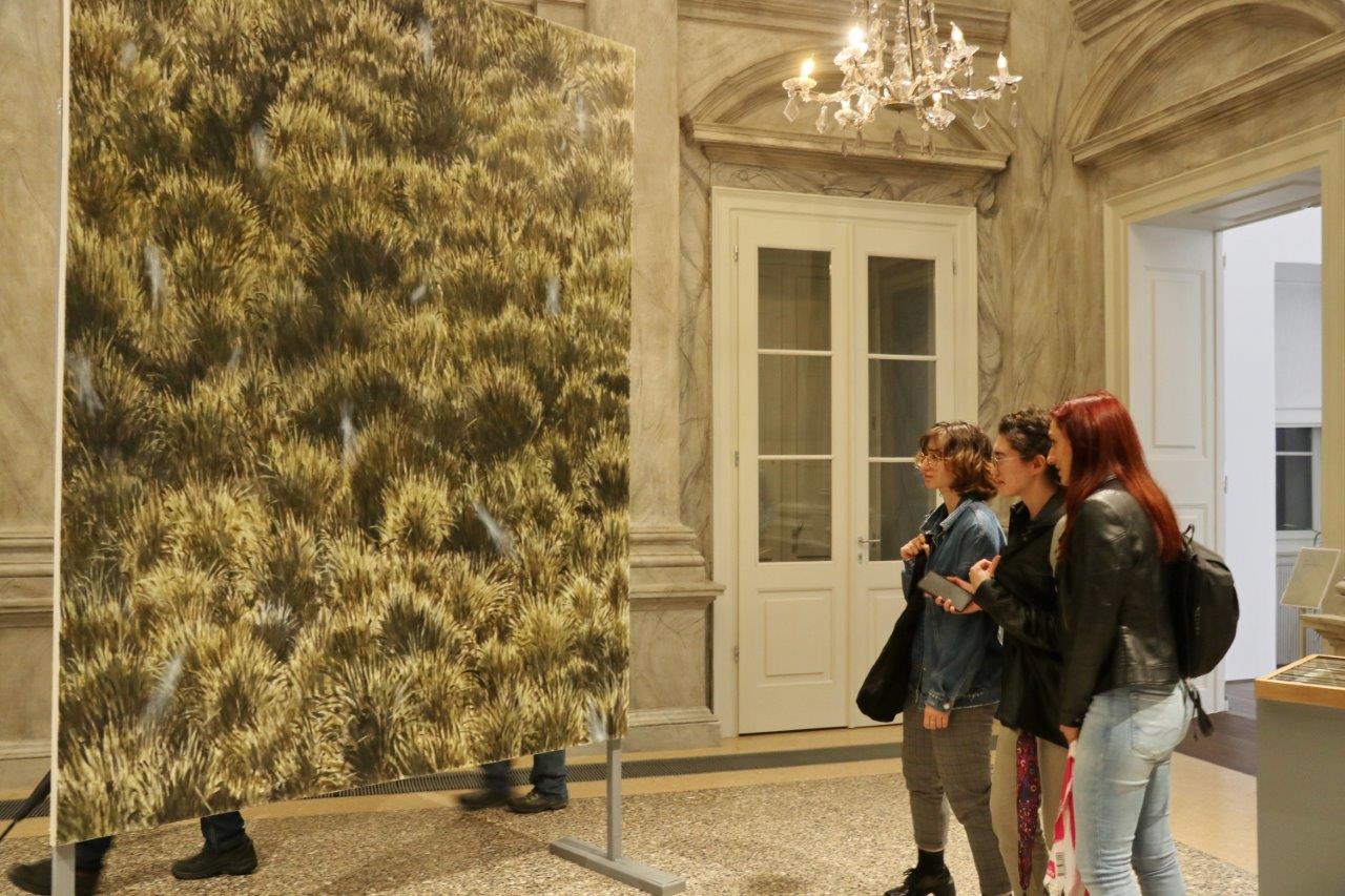 Otvorenje-izložbe-Četiri-godišnja-doba-u-Muzeju-grada-Rijeke-10 Otvorenje-izložbe-Četiri-godišnja-doba-u-Muzeju-grada-Rijeke-10