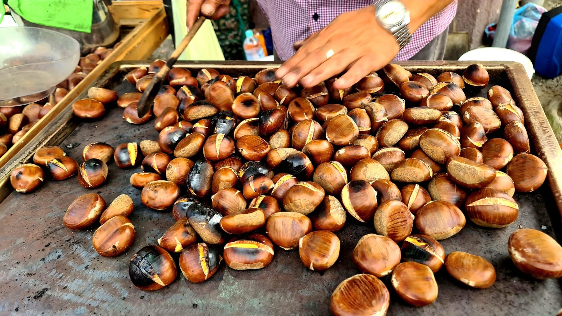 marunada lovran đurđica bokor 2 marunada lovran đurđica bokor 2