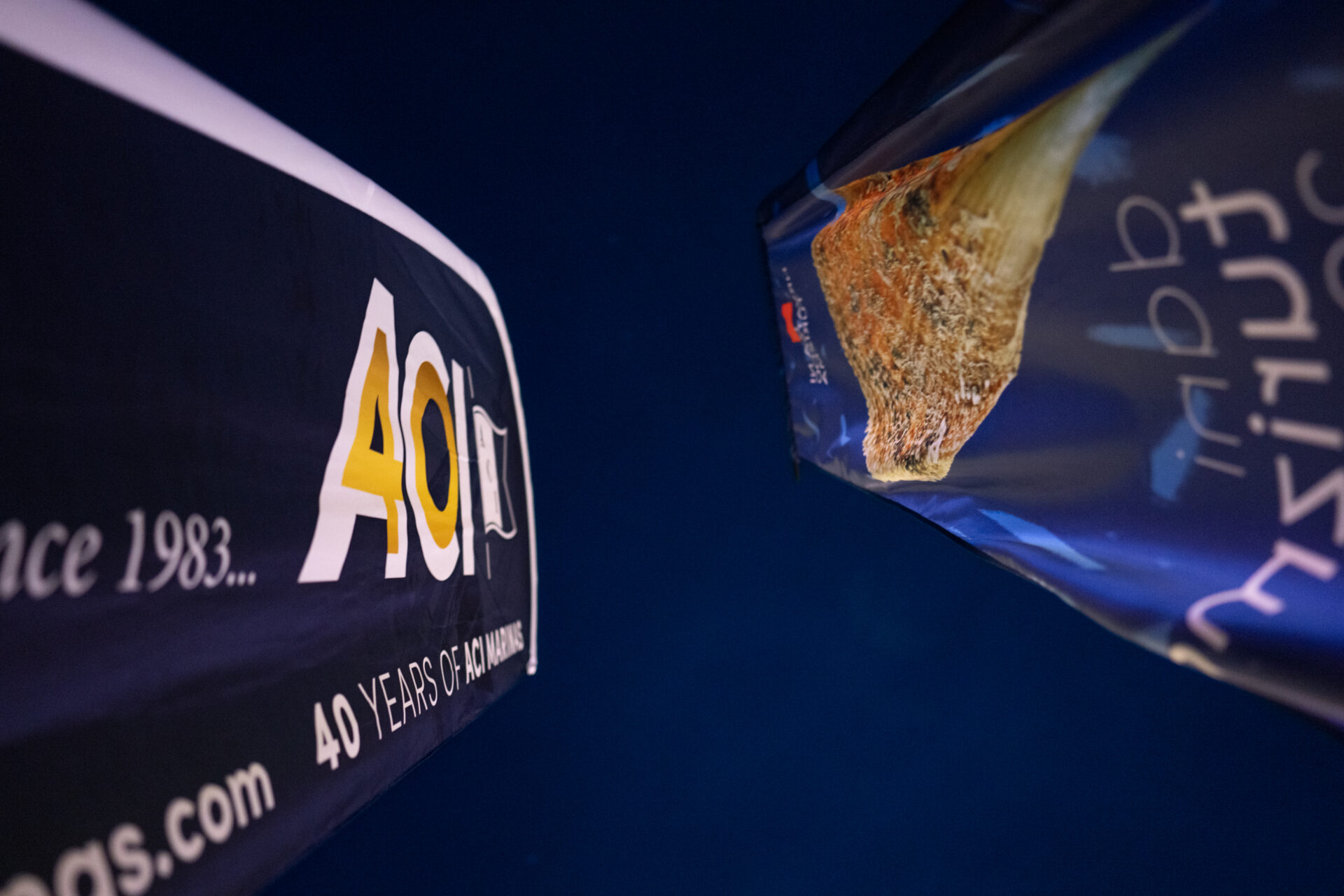 ACI_40_Rovinj_01 ACI_40_Rovinj_01