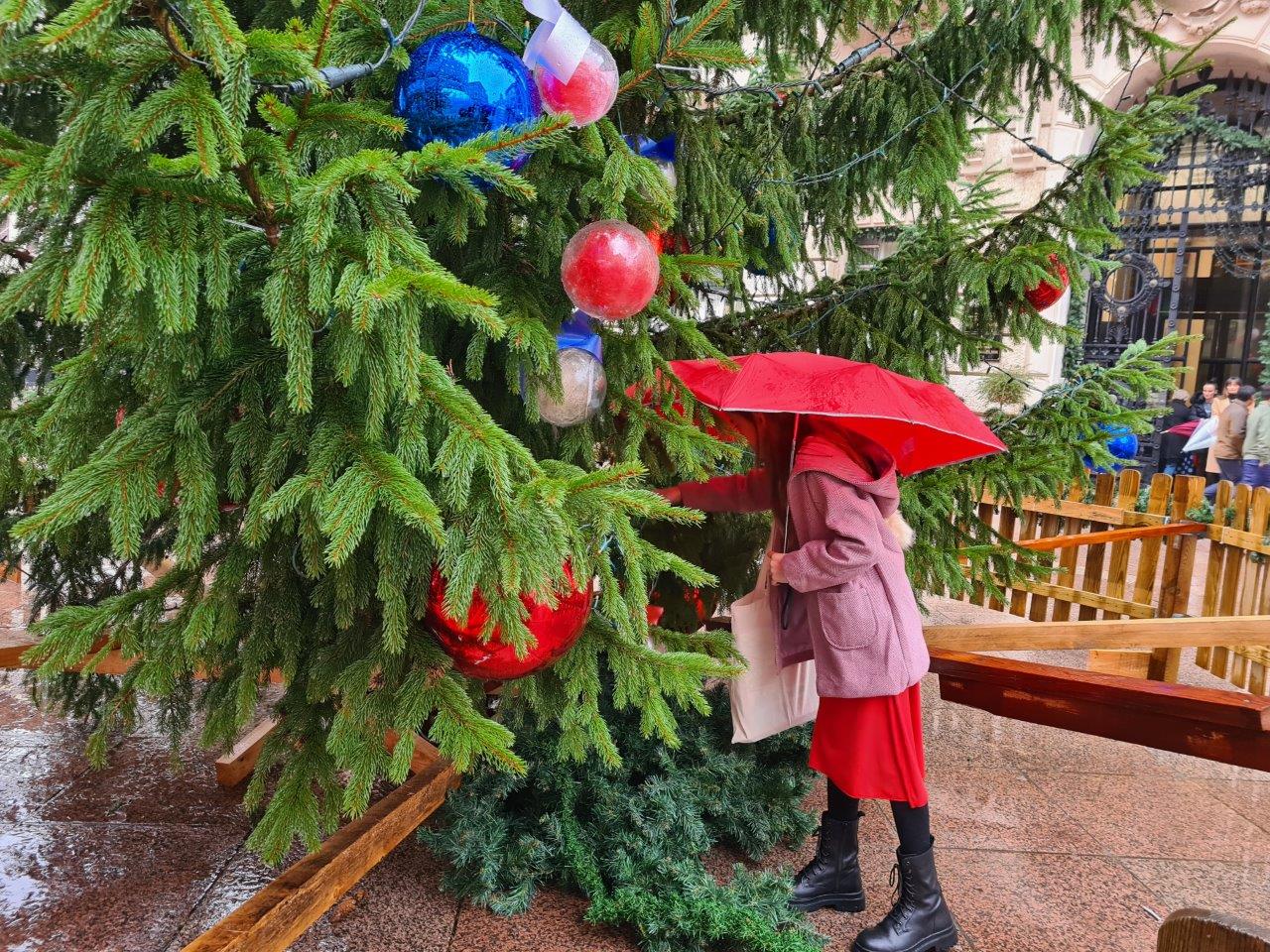 Humanitarna-akcija-Kuglice-dobrih-želja-27