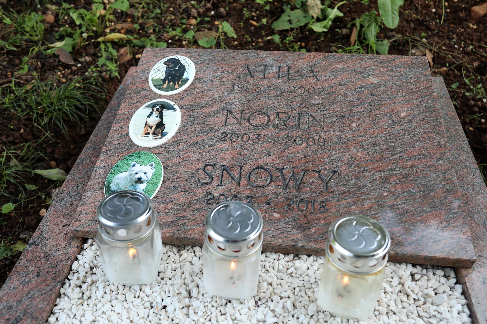 Rijeka: Cvijeće i svijeće na groblju kućnih ljubimaca Rijeka: Cvijeće i svijeće na groblju kućnih ljubimaca