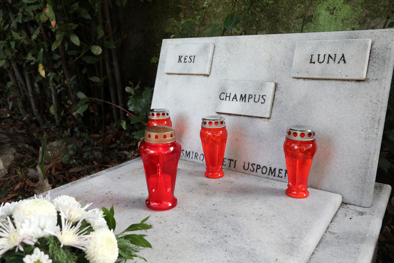 Rijeka: Cvije?e i svije?e na groblju ku?nih ljubimaca Rijeka: Cvije?e i svije?e na groblju ku?nih ljubimaca