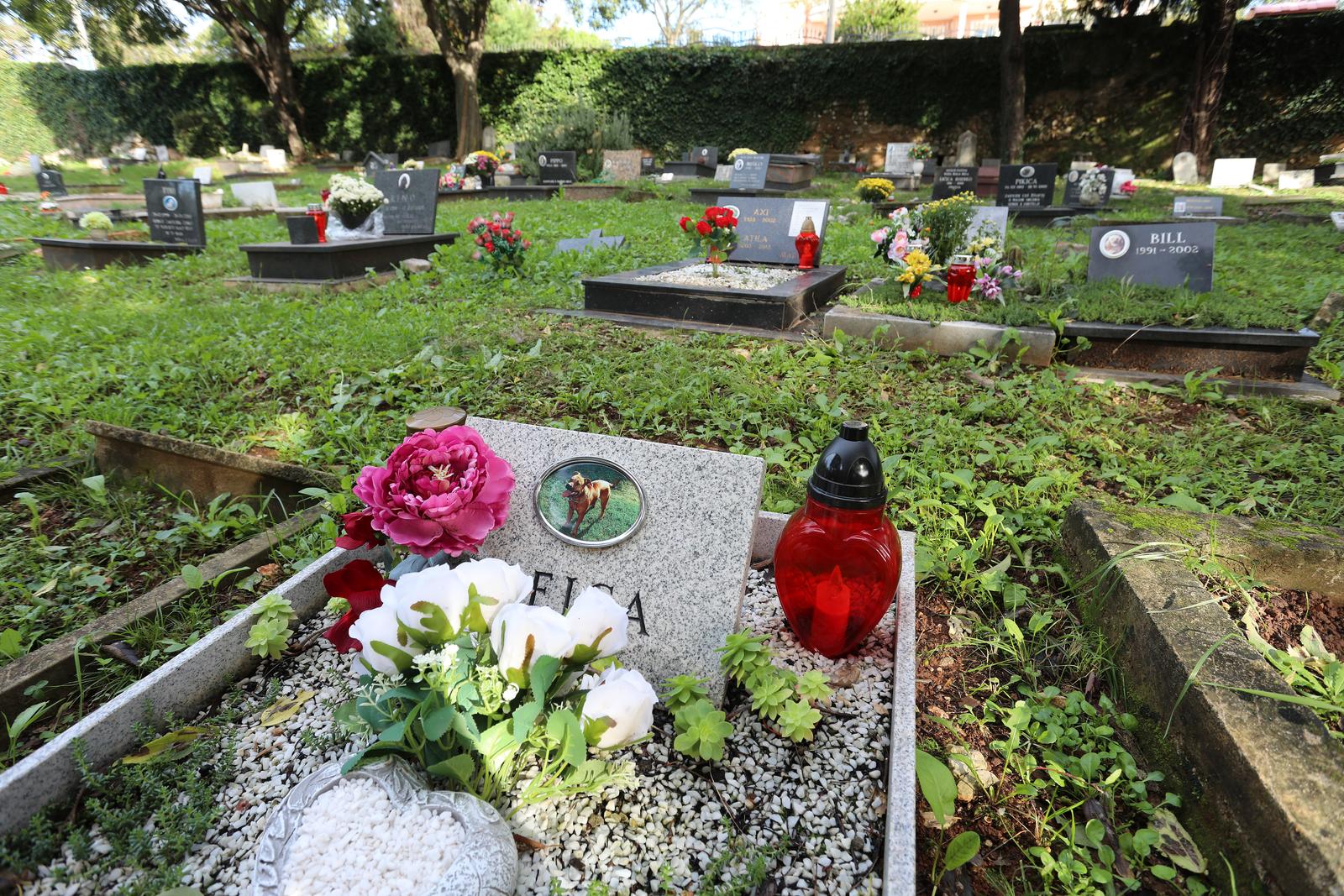 Rijeka: Cvijeće i svijeće na groblju kućnih ljubimaca Rijeka: Cvijeće i svijeće na groblju kućnih ljubimaca