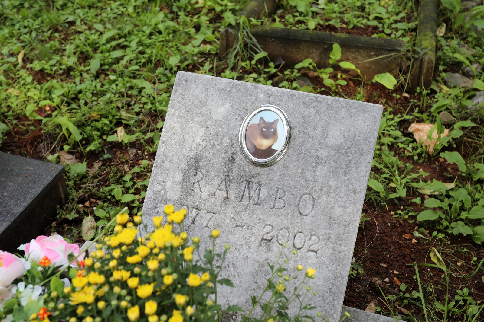 Rijeka: Cvijeće i svijeće na groblju kućnih ljubimaca Rijeka: Cvijeće i svijeće na groblju kućnih ljubimaca