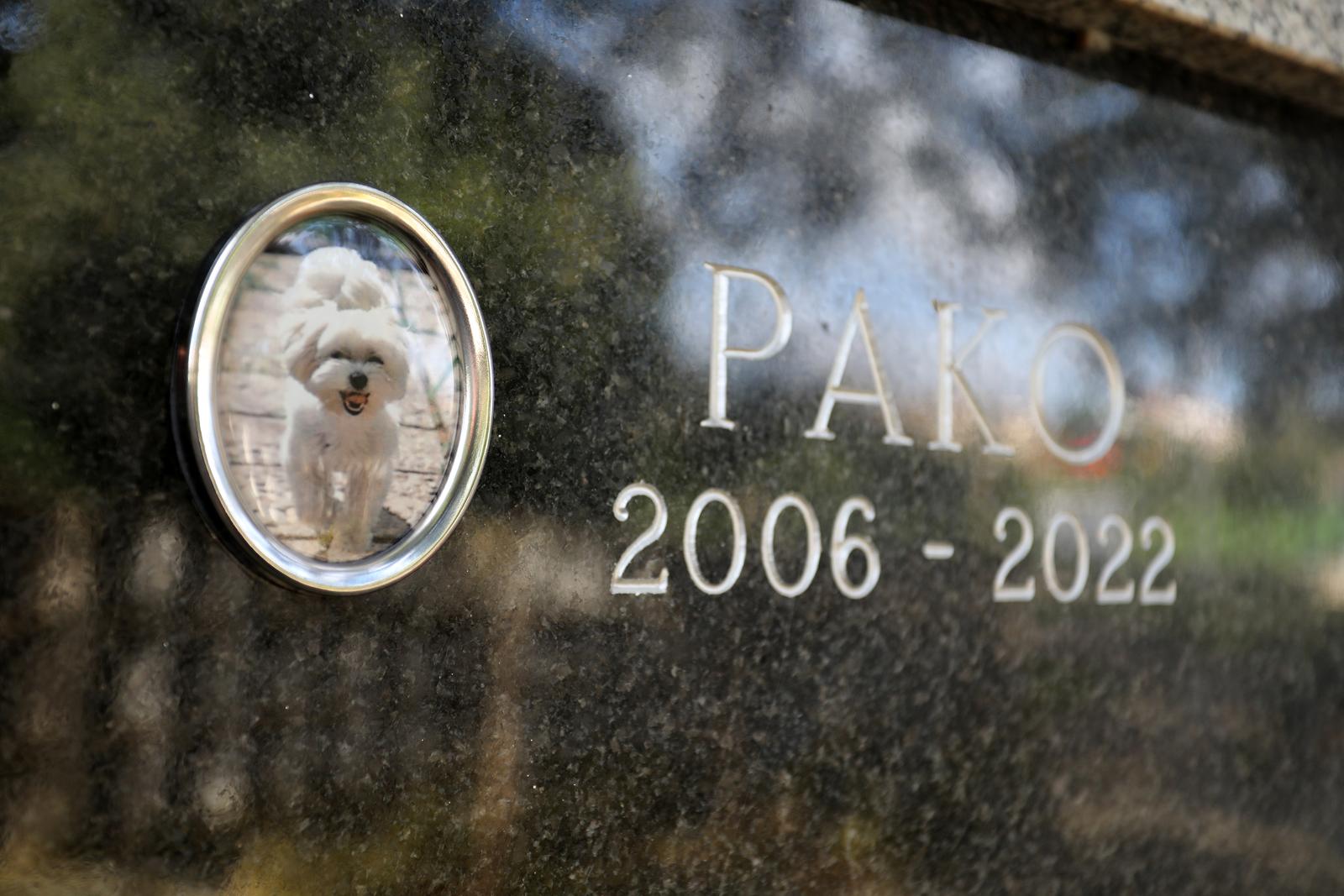 Rijeka: Cvijeće i svijeće na groblju kućnih ljubimaca Rijeka: Cvijeće i svijeće na groblju kućnih ljubimaca