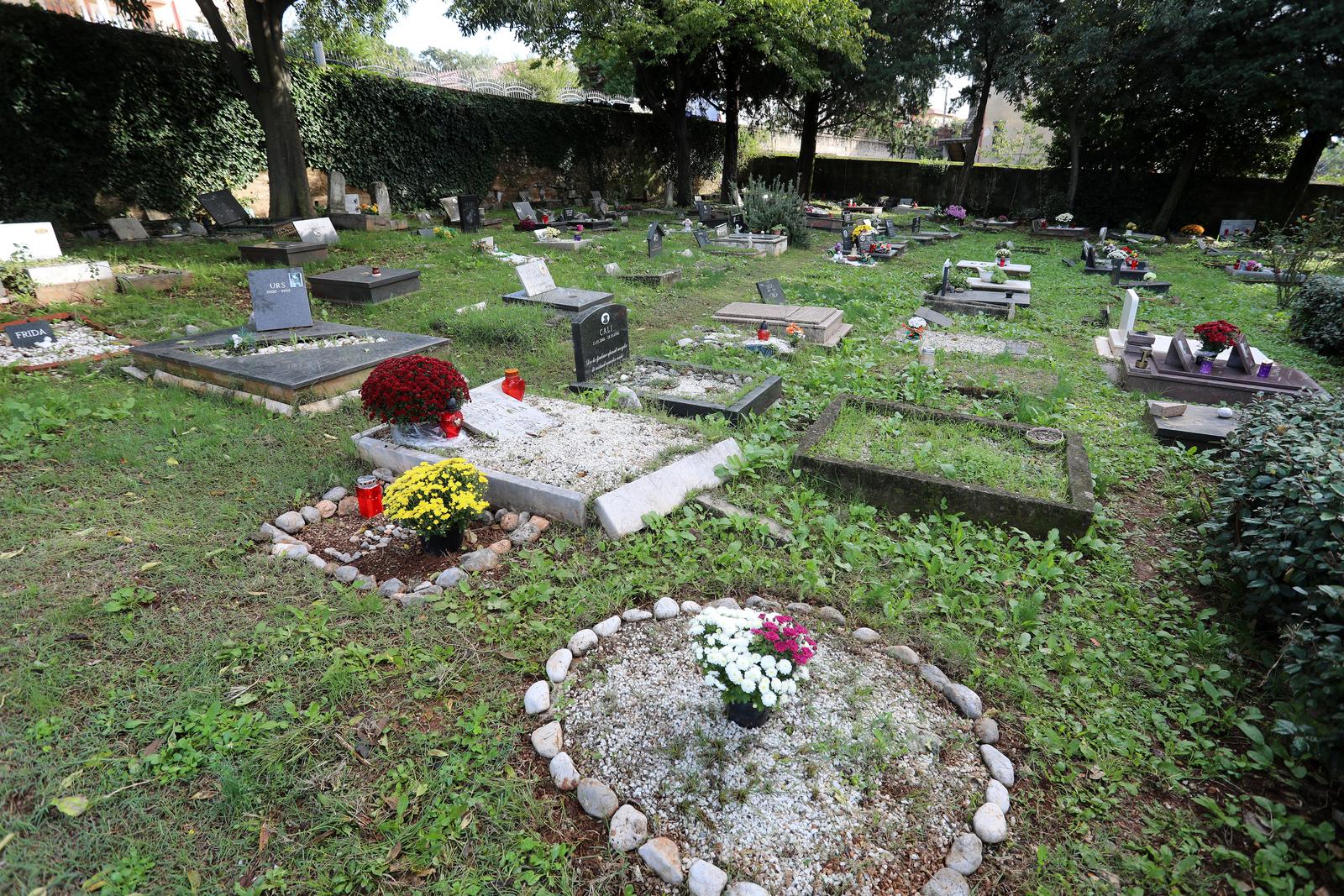 Rijeka: Cvijeće i svijeće na groblju kućnih ljubimaca Rijeka: Cvijeće i svijeće na groblju kućnih ljubimaca