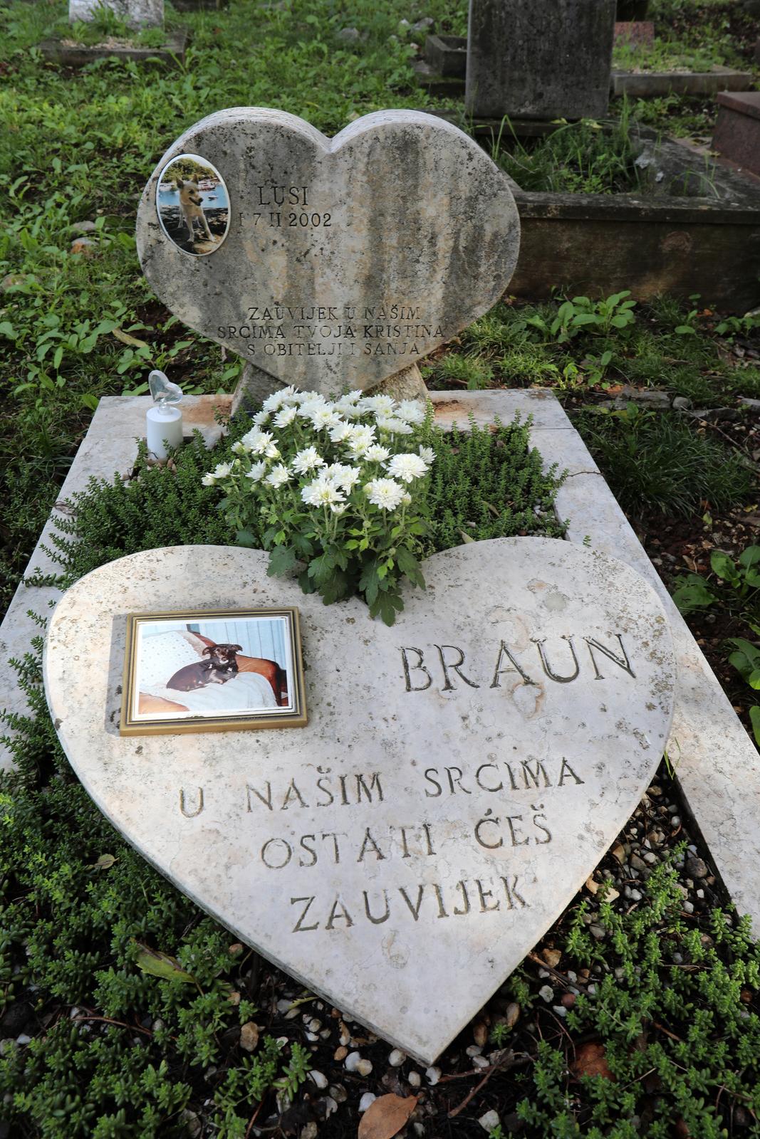 Rijeka: Cvije?e i svije?e na groblju ku?nih ljubimaca Rijeka: Cvije?e i svije?e na groblju ku?nih ljubimaca